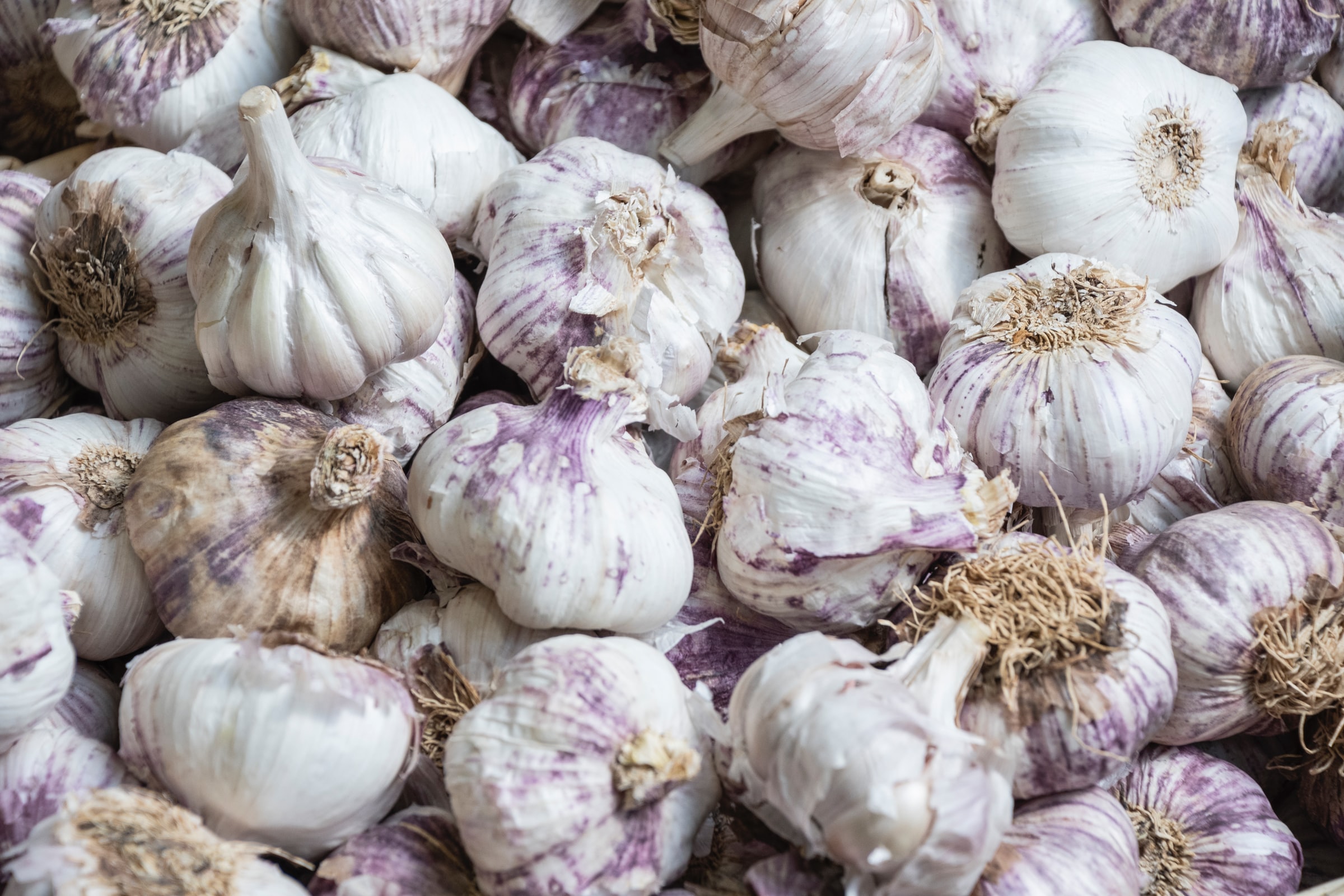 The Surprising Health Benefits of Garlic!