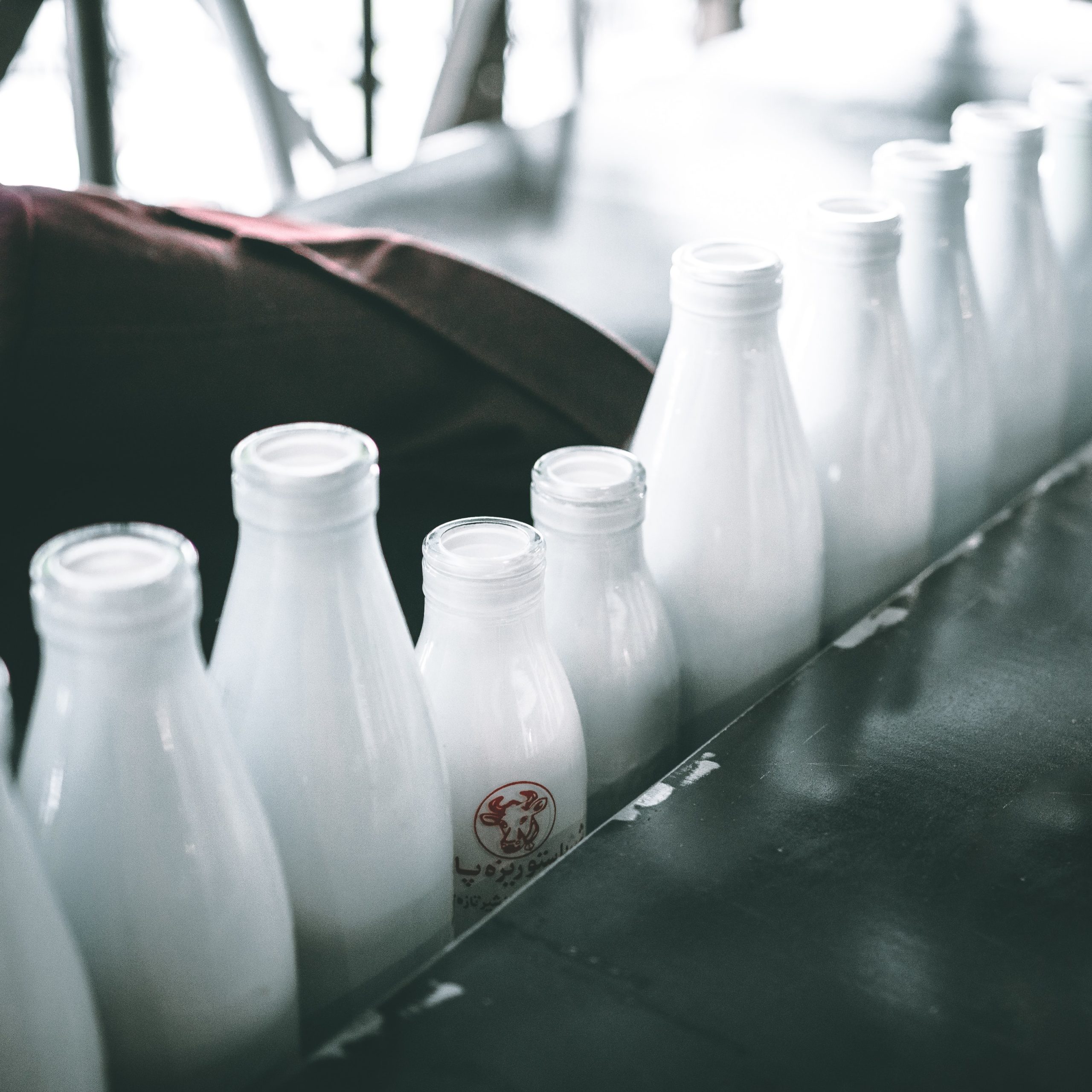 Is Dairy Good For Your Bones?